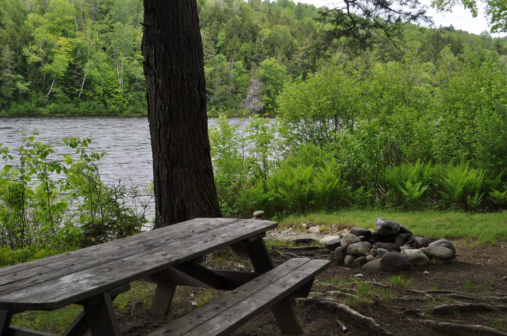 Campsite by the kennebec river
